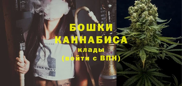 сатива Аркадак