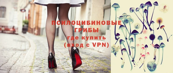 сатива Аркадак