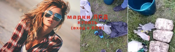 сатива Аркадак