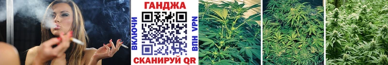 Бошки Шишки SATIVA & INDICA  купить наркотик  ссылка на мегу   Сураж 